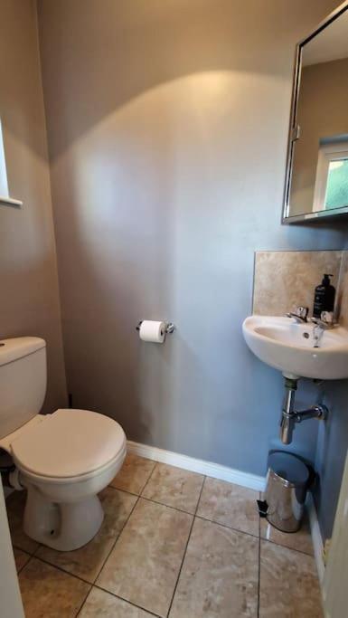 Westland Retreat - Magherafelt - Mid Ulster - Nitb Approved Villa Екстериор снимка